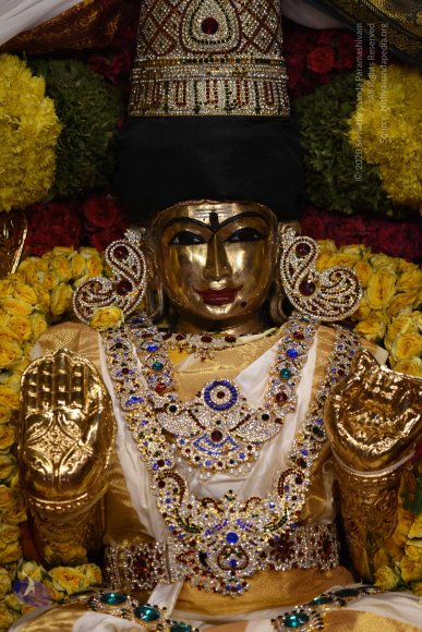 20170507_Photo_1535_DSC_9521_CMP_WM