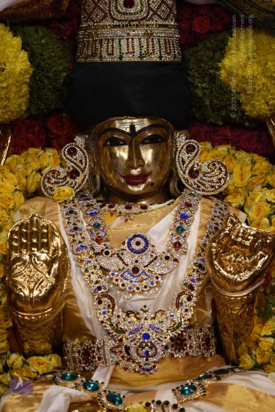 20170507_Photo_1538_DSC_9524_CMP_WM