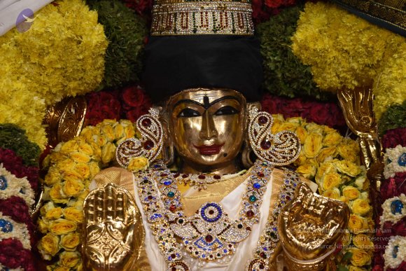 20170507_Photo_1539_DSC_9525_CMP_WM