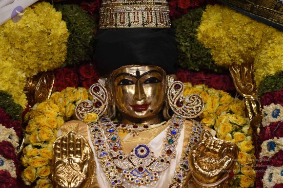 20170507_Photo_1541_DSC_9527_CMP_WM