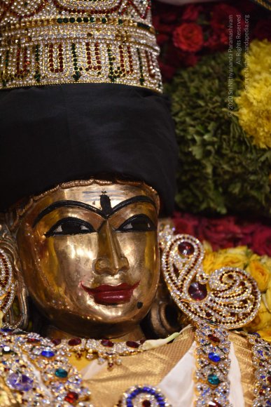 20170507_Photo_1542_DSC_9528_CMP_WM