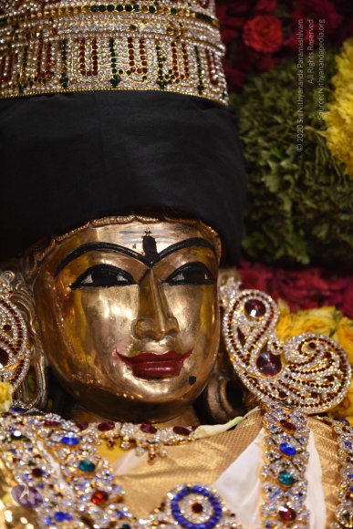 20170507_Photo_1547_DSC_9533_CMP_WM