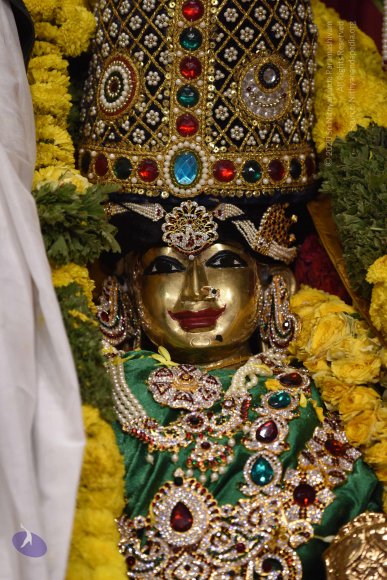 20170507_Photo_1551_DSC_9537_CMP_WM