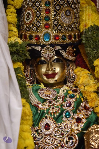 20170507_Photo_1552_DSC_9538_CMP_WM