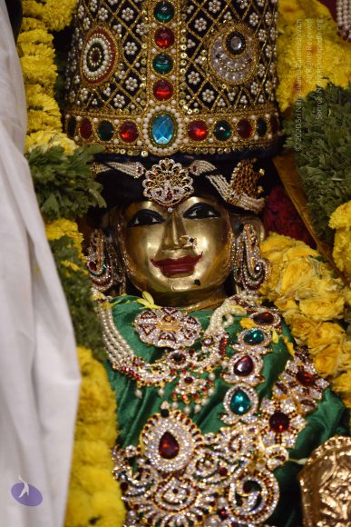 20170507_Photo_1553_DSC_9539_CMP_WM