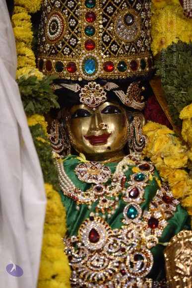 20170507_Photo_1554_DSC_9540_CMP_WM