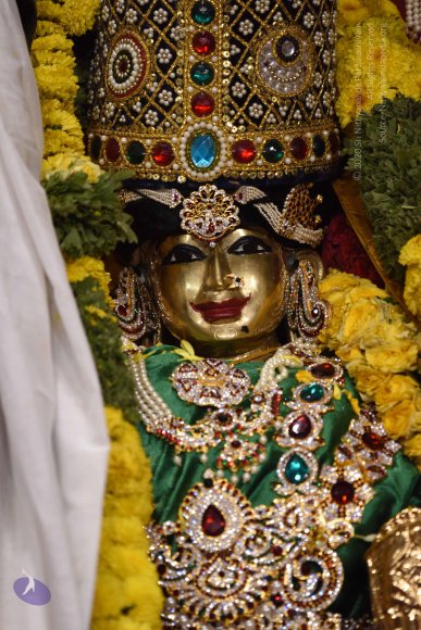 20170507_Photo_1555_DSC_9541_CMP_WM