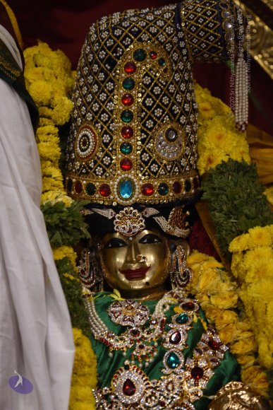 20170507_Photo_1556_DSC_9542_CMP_WM