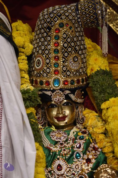 20170507_Photo_1557_DSC_9543_CMP_WM