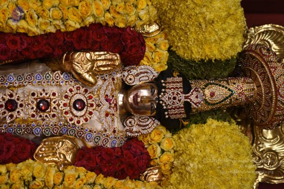 20170507_Photo_1563_DSC_9549_CMP_WM