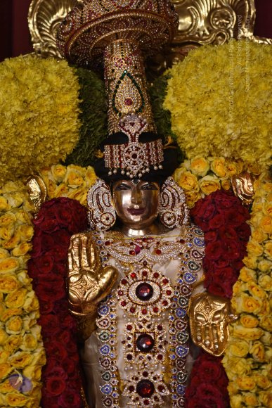 20170507_Photo_1564_DSC_9550_CMP_WM