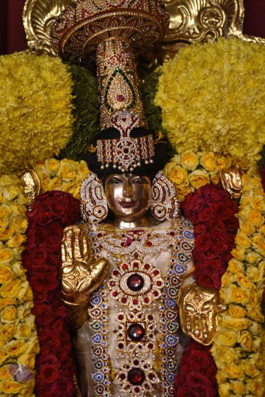 20170507_Photo_1565_DSC_9551_CMP_WM