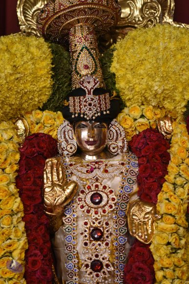 20170507_Photo_1566_DSC_9552_CMP_WM