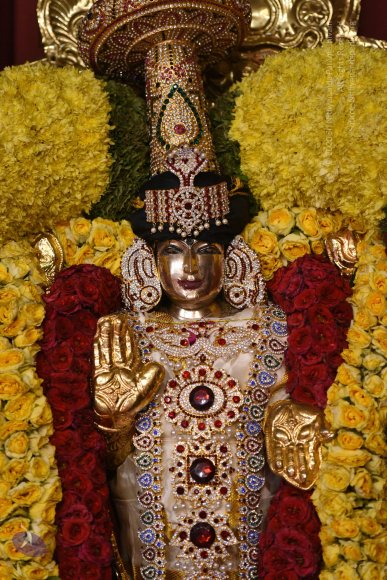 20170507_Photo_1567_DSC_9553_CMP_WM