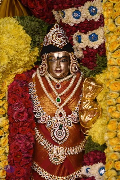 20170507_Photo_1569_DSC_9555_CMP_WM