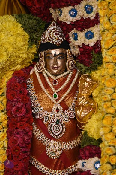 20170507_Photo_1570_DSC_9556_CMP_WM