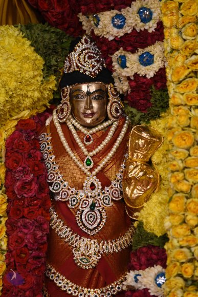 20170507_Photo_1571_DSC_9557_CMP_WM