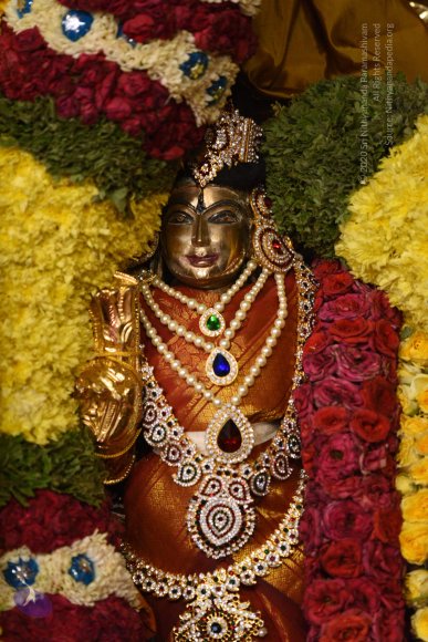 20170507_Photo_1574_DSC_9560_CMP_WM