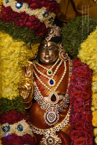 20170507_Photo_1575_DSC_9561_CMP_WM