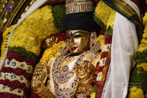 20170507_Photo_1577_DSC_9563_CMP_WM