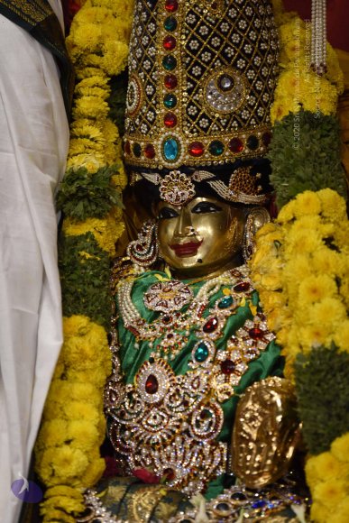 20170507_Photo_1579_DSC_9565_CMP_WM