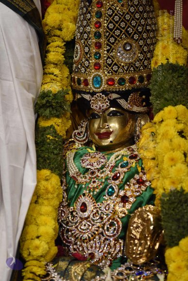 20170507_Photo_1580_DSC_9566_CMP_WM