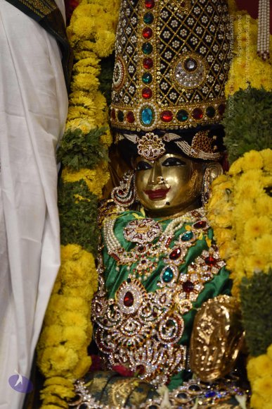 20170507_Photo_1581_DSC_9567_CMP_WM