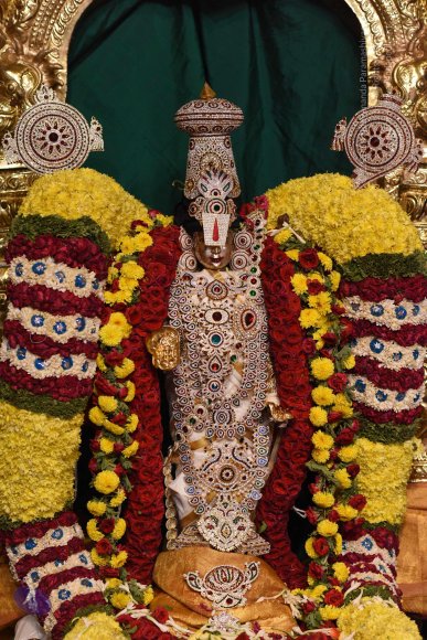 20170507_Photo_1582_DSC_9568_CMP_WM