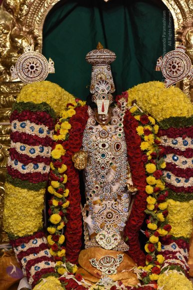 20170507_Photo_1583_DSC_9569_CMP_WM