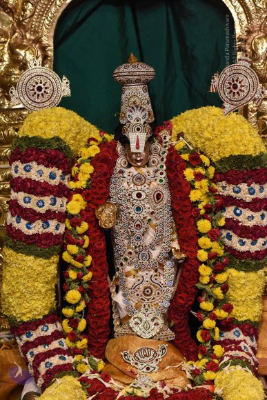 20170507_Photo_1584_DSC_9570_CMP_WM