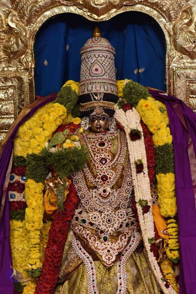 20170507_Photo_1586_DSC_9572_CMP_WM