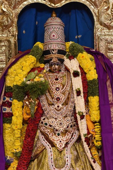 20170507_Photo_1588_DSC_9574_CMP_WM