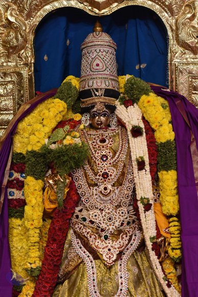 20170507_Photo_1589_DSC_9575_CMP_WM