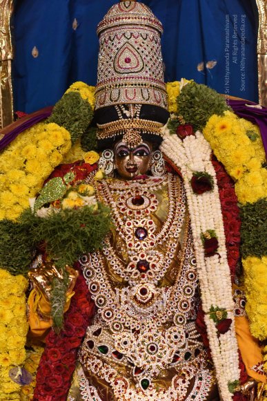 20170507_Photo_1590_DSC_9576_CMP_WM