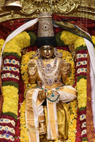 20170507_Photo_1593_DSC_9579_CMP_WM