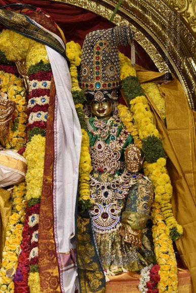 20170507_Photo_1596_DSC_9582_CMP_WM