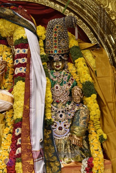 20170507_Photo_1598_DSC_9584_CMP_WM