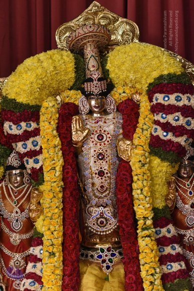 20170507_Photo_1604_DSC_9590_CMP_WM