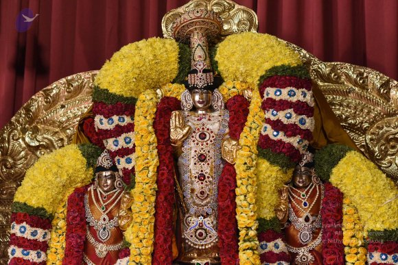 20170507_Photo_1606_DSC_9592_CMP_WM