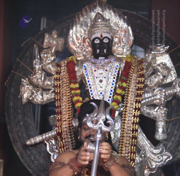 20170523_Photo_1040_IMG_6075_CMP_WM