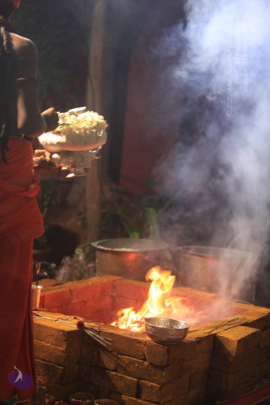 20170523_Photo_1043_IMG_6081_CMP_WM