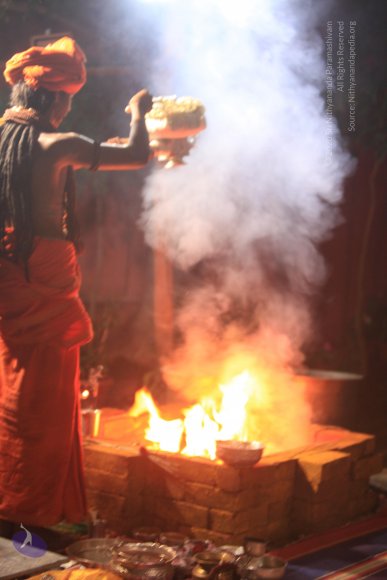 20170523_Photo_1045_IMG_6084_CMP_WM