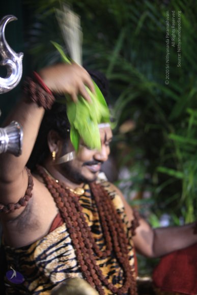 20170523_Photo_1050_IMG_6107_CMP_WM