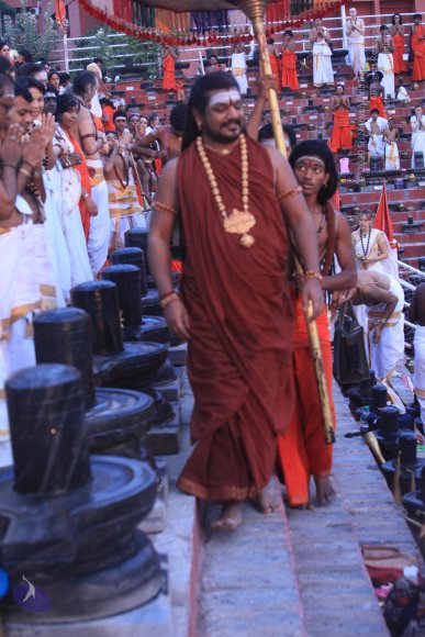 20170529_Photo_1004_IMG_8721_CMP_WM