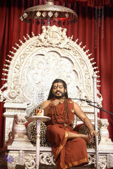 20171109_Photo_1009_IMG_0616_CMP_WM