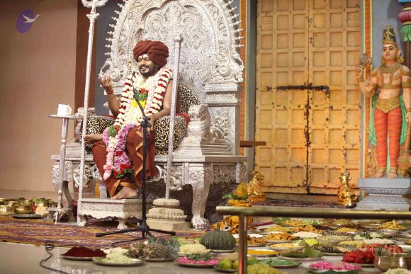 20171117_Photo_1073_IMG_4985_CMP_WM