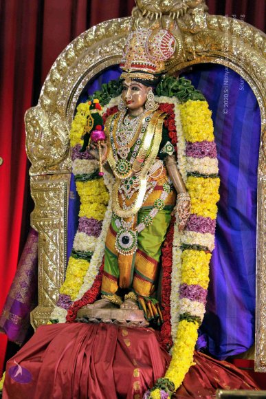 20171129_Photo_1004_IMG_0026_CMP_WM