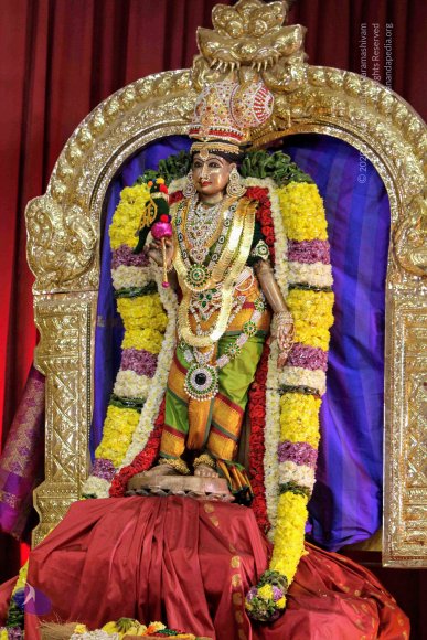 20171129_Photo_1016_IMG_0075_CMP_WM