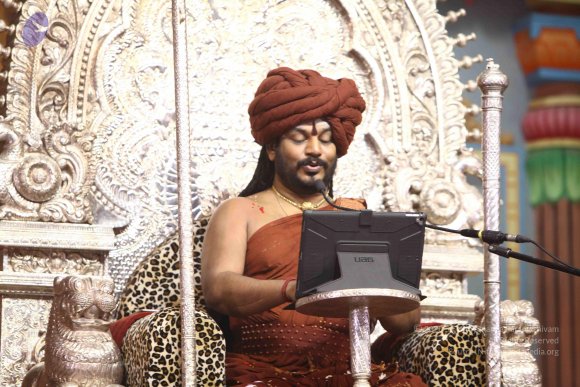 20171117_Photo_1057_IMG_5241_CMP_WM