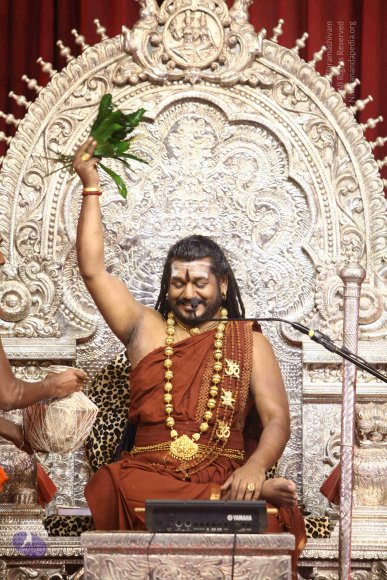 20171119_Photo_1040_IMG_5767_CMP_WM